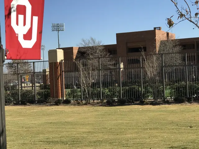 A Cook's fence line flying an OU flag, stadium light towers standing behind it