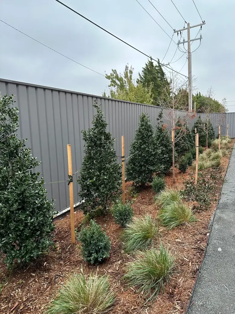 A tall corrugated metal screen wall built by Cook's Fence and Iron with new landscaping planted along its base